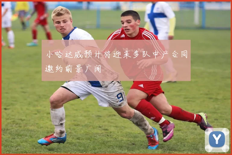 小哈达威预计将迎来多队中产合同邀约前景广阔
